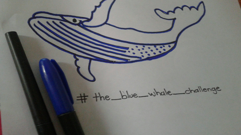 فیلم و تصاویر نهنگ آبی - جدیدترین کلیپ های مرتبط با انجام چالش نهنگ سفید