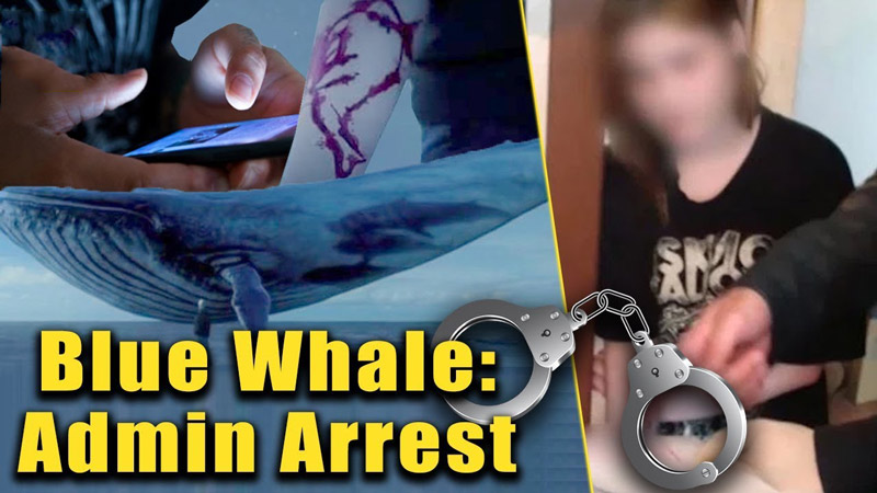 دستگیری مغز متفکر بازی نهنگ آبی