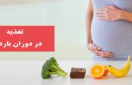 تغذیه دوران بارداری از اهمیت آن و باید و نباید ها