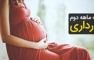 سه ماهه دوم بارداری و نکاتی که مادران به ویژه درباره تغذیه باید رعایت کنند