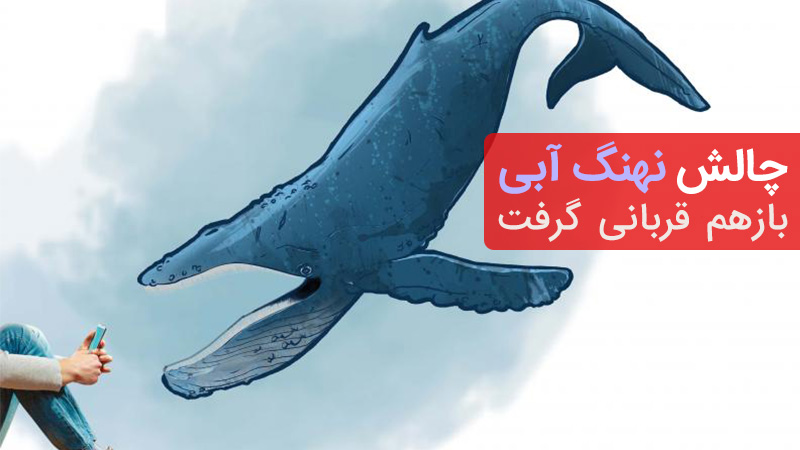 خودکشی دختران اصفهانی مرتبط با چالش نهنگ آبی بوده است