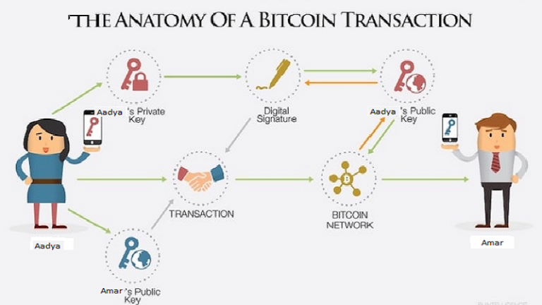 a dissection of bitcoin