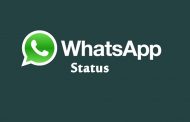 Every Things About WhatsApp Status And Its Tips And Tricks