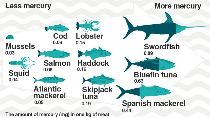 ماهیان با درصد جیوه بالا و جیوه کم