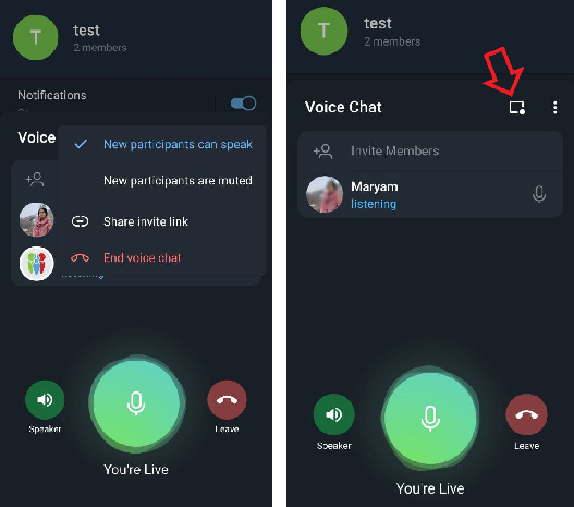 تنظیمات چت صوتی تلگرام